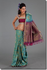 hot and sexy indain sari 5