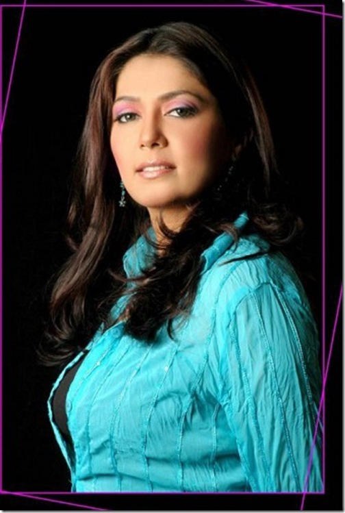 Beautiful-Indian-Tv-Actress-Lubna-Salim (5)