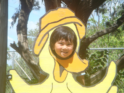 ausitn