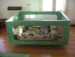 DSCF1943mini.jpg