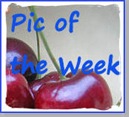 AA Pic of the Week 125 w