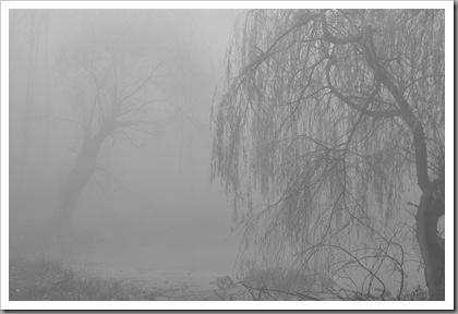 Eerie fog