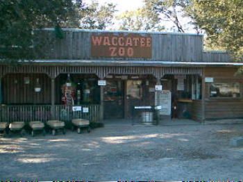 Waccatee Zoo