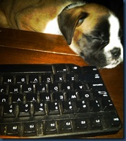 bloggimg