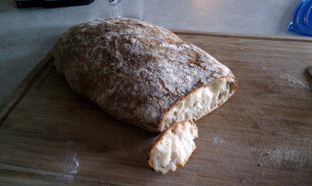 no-knead-crumb-20101119.jpg