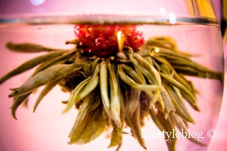 [IMG_60354.jpg]