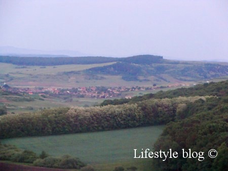 [DSC064625.jpg]