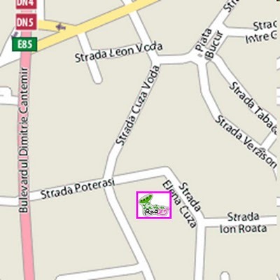 [Elena cuza 8[5].jpg]