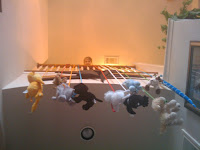 2010-05-20 20_02_27.jpg