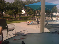 IMG_20100926_171638.jpg