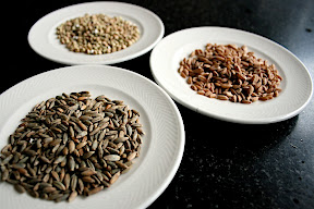 grains de seigle, sarrasin et épautre