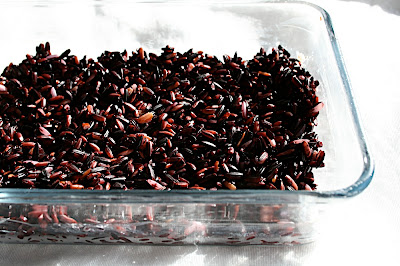 mousse de lentilles et graines de lin sur gâteau de riz violet, cuisson vapeur