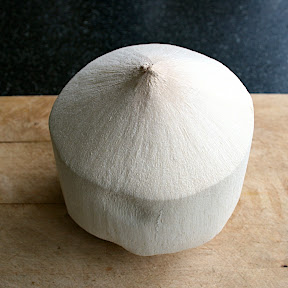jeune noix de coco