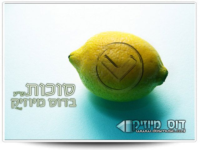 אירועי סוכות תש
