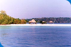 jolly island Andaman jolly island Andaman