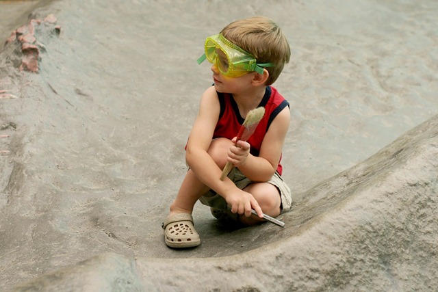 [natural history museumdino dig [2].jpg]