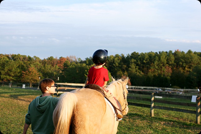 Horseback riding lesson milesstephanie