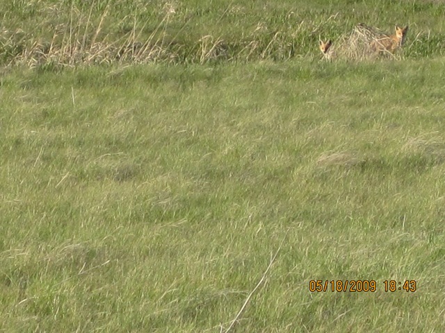 [IMG_04752.jpg]