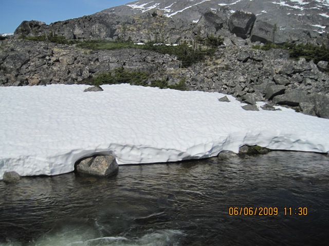 [IMG_08362.jpg]