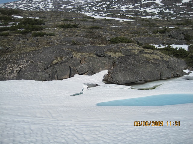 [IMG_08392.jpg]