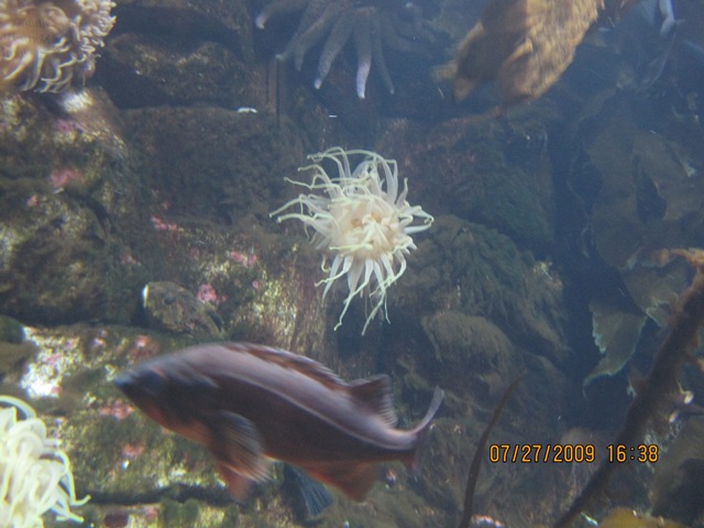 [IMG_13772.jpg]