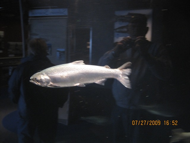 [IMG_13882.jpg]