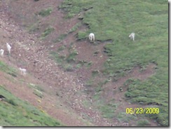 100_5007