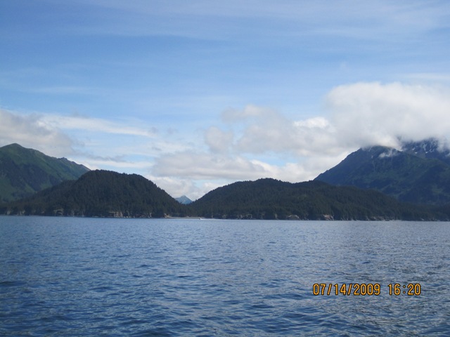 [IMG_12942.jpg]