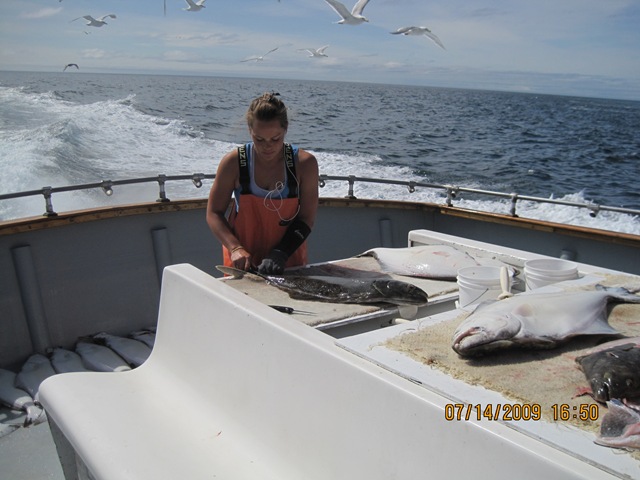 [IMG_13012.jpg]