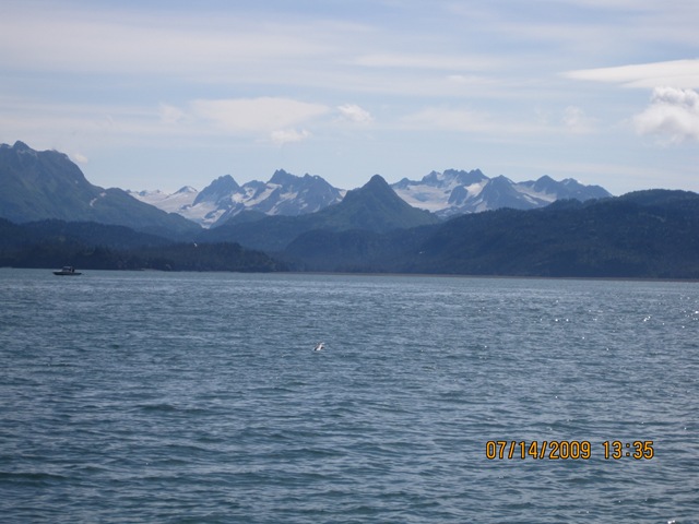 [IMG_12802.jpg]
