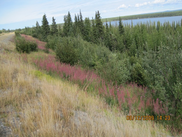 [IMG_17682.jpg]