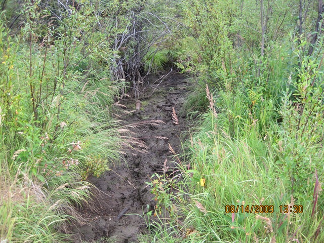 [IMG_17912.jpg]
