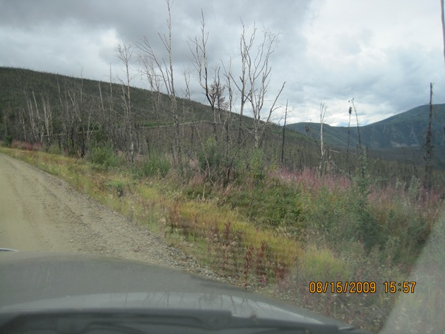 [IMG_18132.jpg]