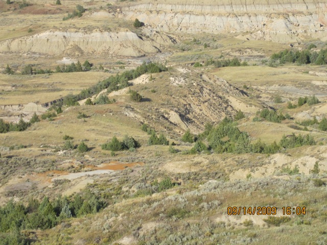 [IMG_20772.jpg]