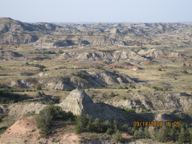 [IMG_20782.jpg]