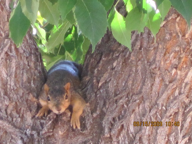 [IMG_21022.jpg]