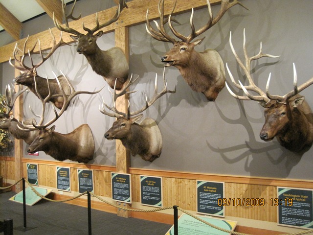 [IMG_20352.jpg]