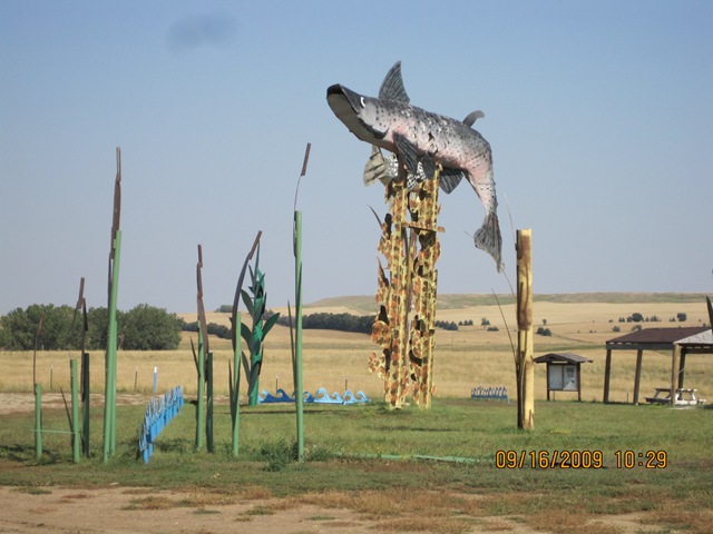 [IMG_21482.jpg]
