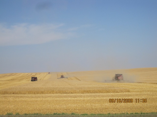 [IMG_21682.jpg]