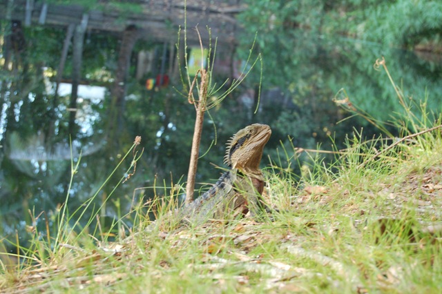 [DSC_24962.jpg]