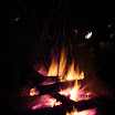 4720155095.jpg