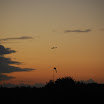 DSC_0244.JPG