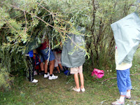 DSCF6026.jpg