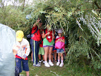 DSCF6027.jpg