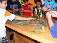 DSCF5894.jpg