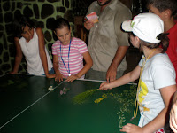 P7240305.JPG