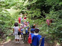 DSCF6530.jpg