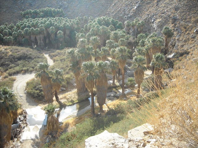 [DSCN07774.jpg]