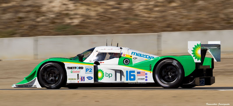 IMAGE: http://lh6.ggpht.com/_evDAuzH-D_0/StAey1-6XFI/AAAAAAAACFk/fQDFsTyrDt4/s800/IMG_0438.jpg