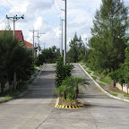 Tree lined road and island The AboitizLand Community Tour